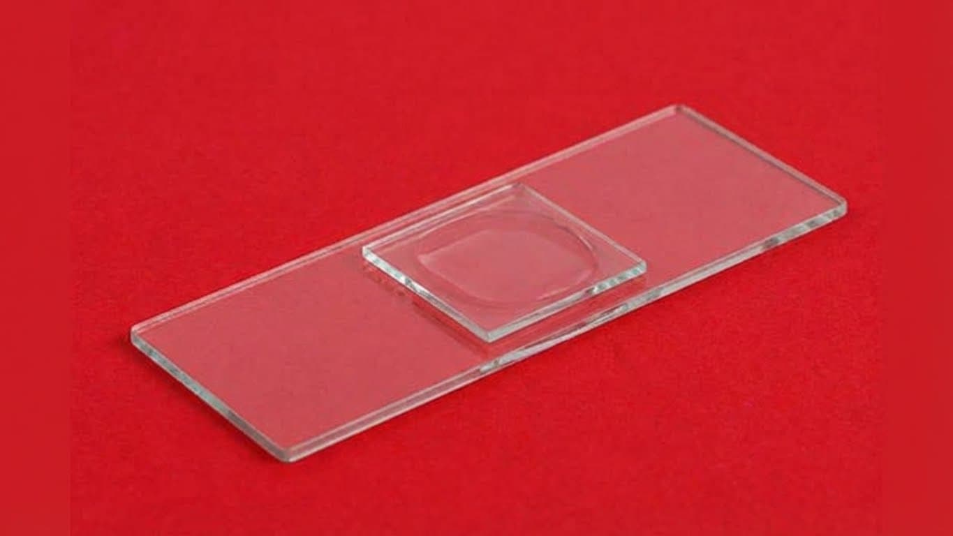 Microscope Slides & Coverslips