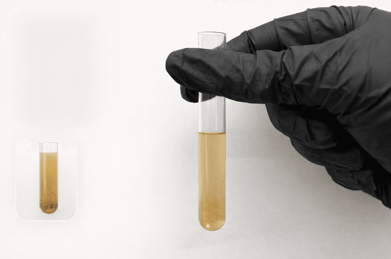 Target Cell Isolation